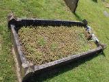 image of grave number 896245